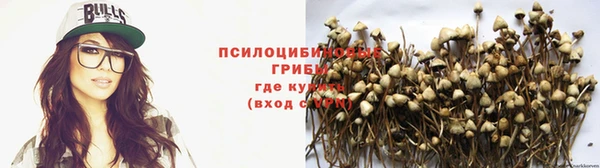 ПСИЛОЦИБИНОВЫЕ ГРИБЫ Белоозёрский