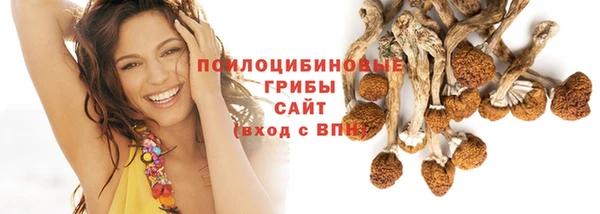 прущий лед Белокуриха