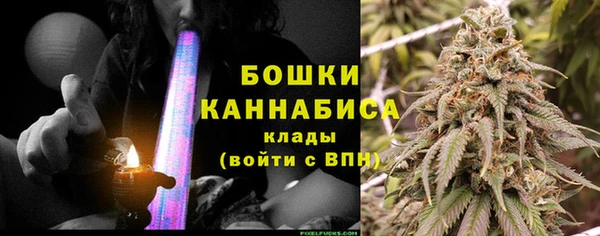 ПСИЛОЦИБИНОВЫЕ ГРИБЫ Белоозёрский