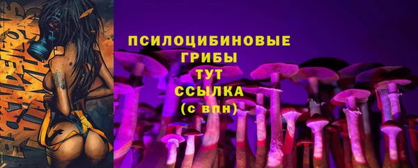 ПСИЛОЦИБИНОВЫЕ ГРИБЫ Белоозёрский