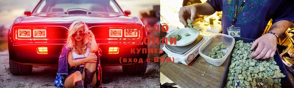 прущий лед Белокуриха