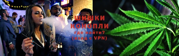 ПСИЛОЦИБИНОВЫЕ ГРИБЫ Белоозёрский