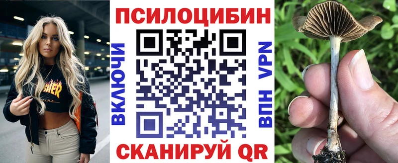 МЕГА зеркало  Горно-Алтайск  Галлюциногенные грибы MAGIC MUSHROOMS  продажа наркотиков 